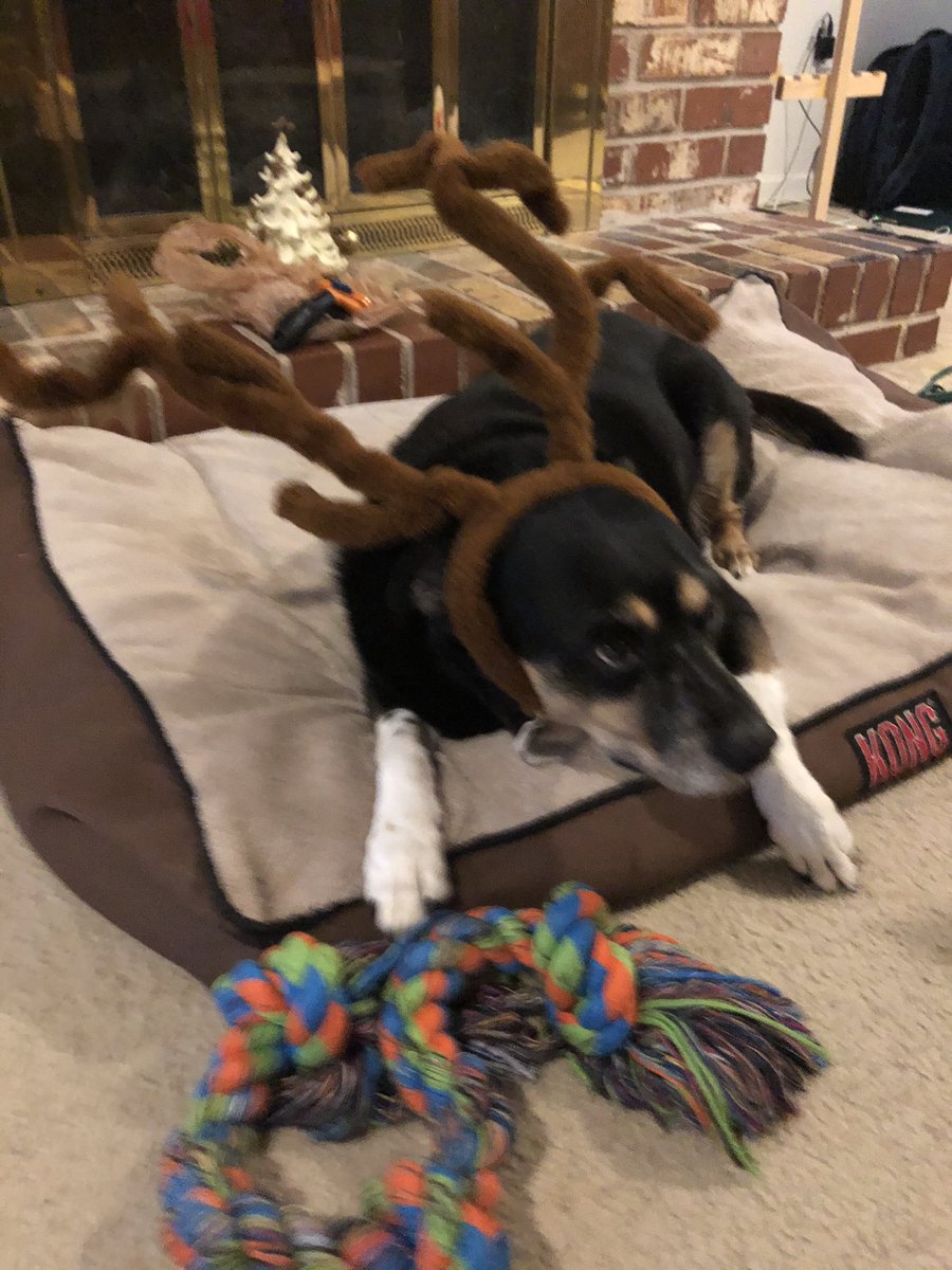 Liz Aull tweet media