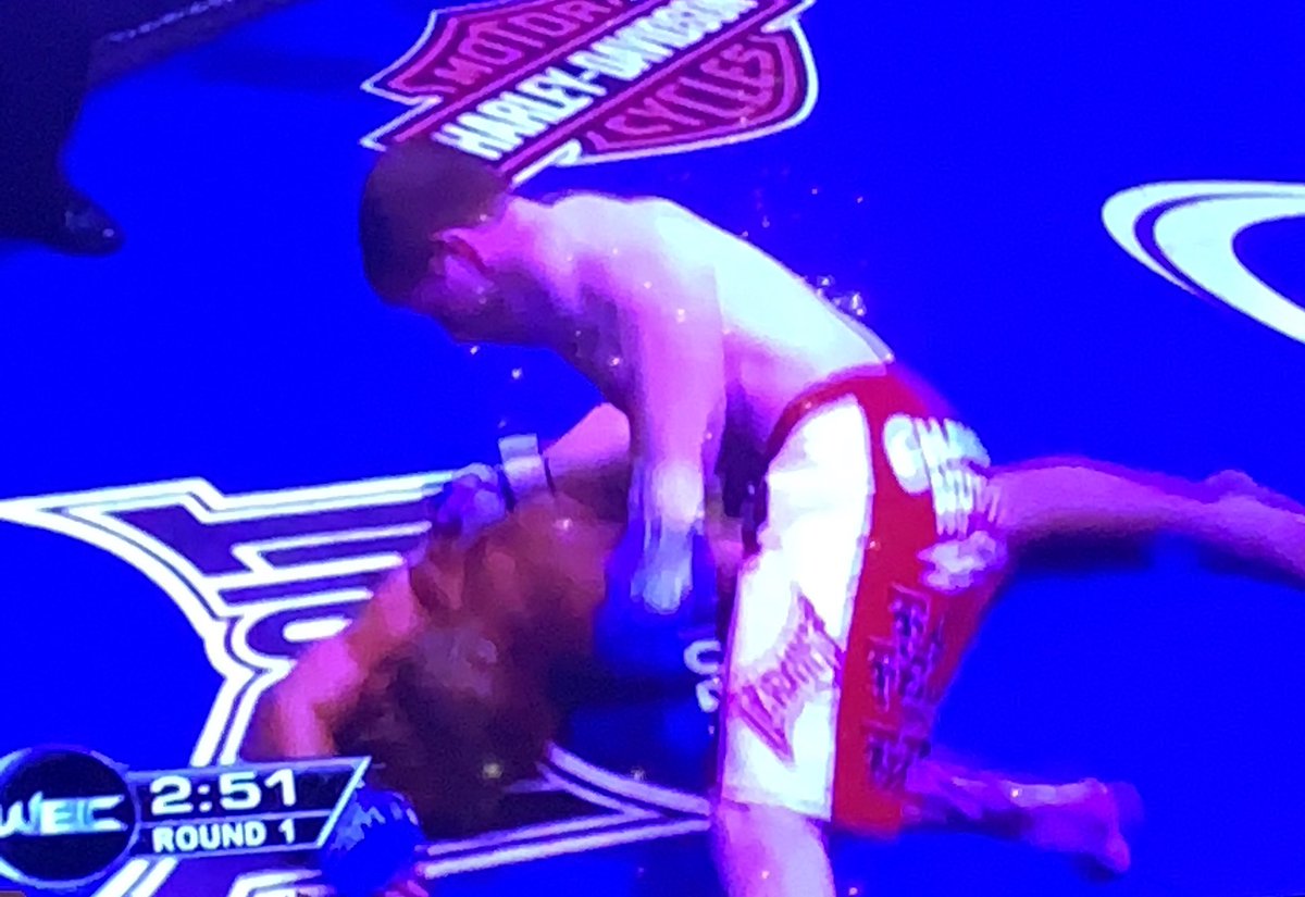 Majority Decision tweet media