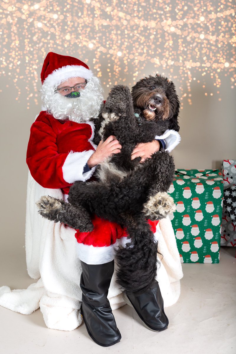 thisisyiwei's tweet photo. @dog_rates @bestfriends @Trupanion Allan wants to participate! He is thrilled to meet Santa for the first time. https://t.co/vqUnX3KGUb