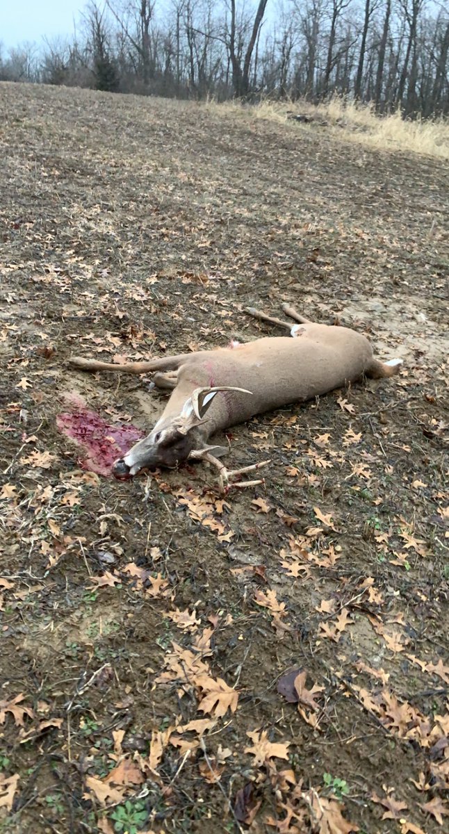 Nice rack