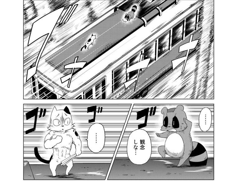 Twoucan 𝙏 𝙉 𝙎 𝙆 しっぽな1 5巻絶賛中 Tnsk