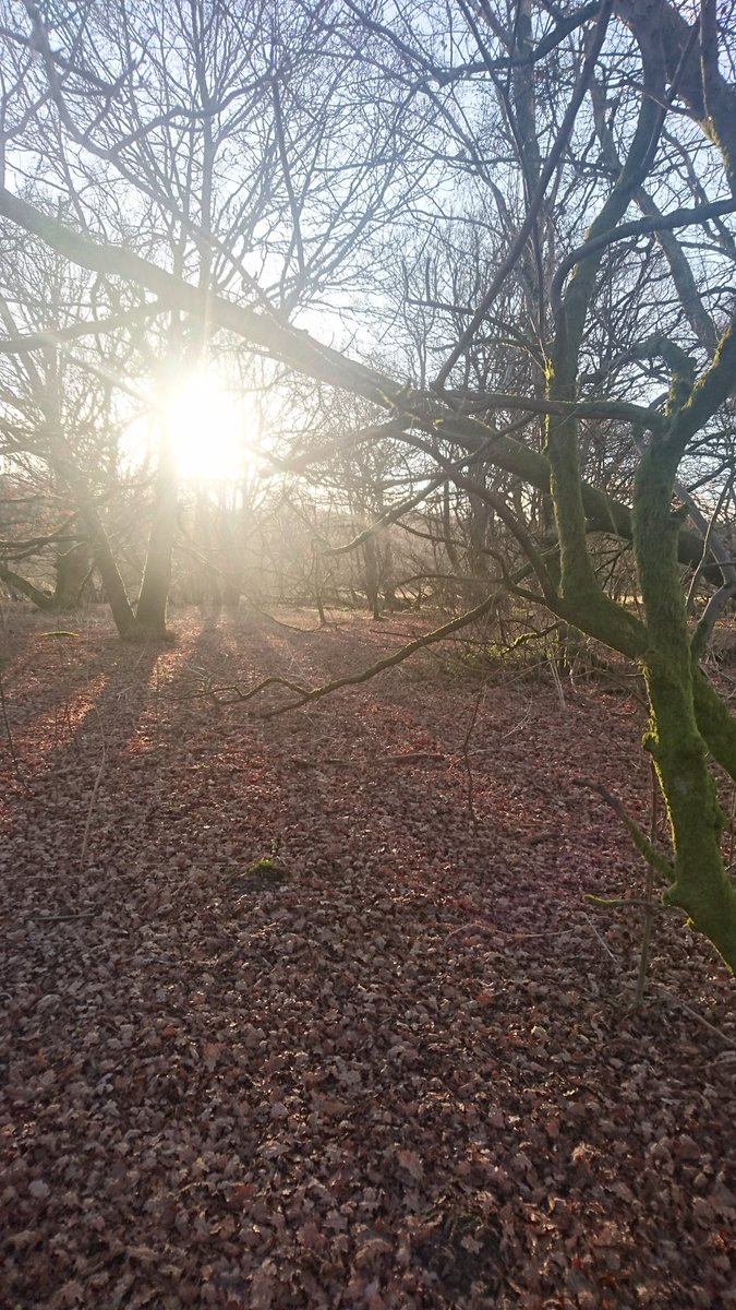 GuidReadsAlva's tweet photo. Accidentally walked just over ten miles whilst thinking. I'm so unfit I suspect that's gonna hurt tomorrow!!
#10miles #walking #Tillicoultry #dollar #riverdevon #clackmannanshire https://t.co/7NzwXesERy