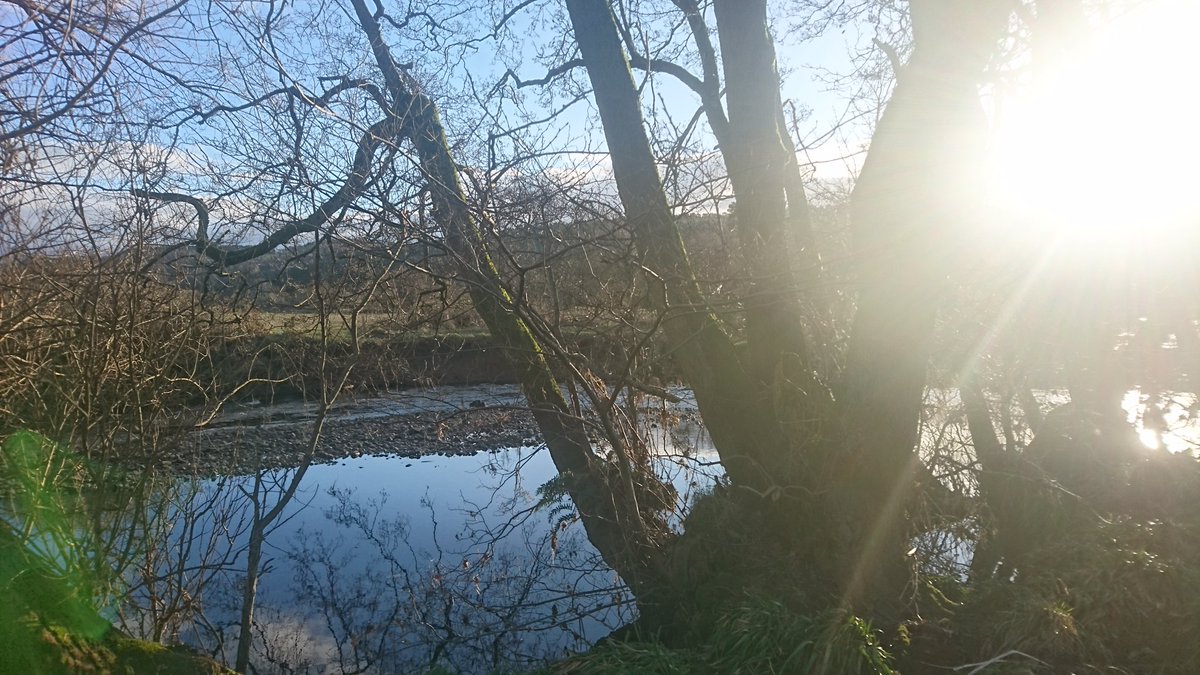 GuidReadsAlva's tweet photo. Accidentally walked just over ten miles whilst thinking. I'm so unfit I suspect that's gonna hurt tomorrow!!
#10miles #walking #Tillicoultry #dollar #riverdevon #clackmannanshire https://t.co/7NzwXesERy