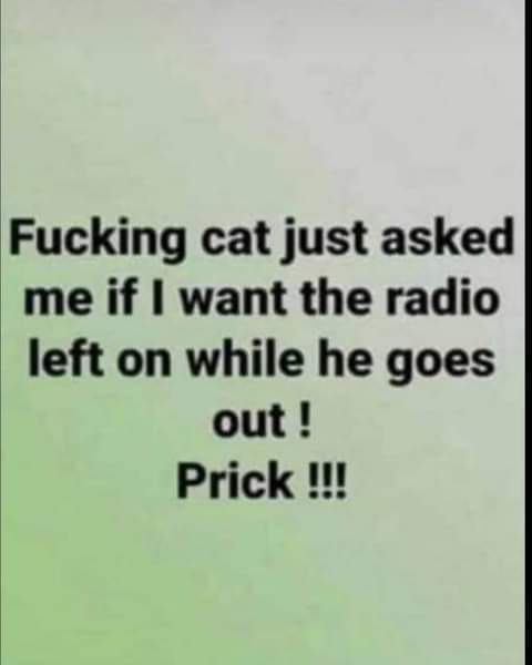 DBee08's tweet image. 