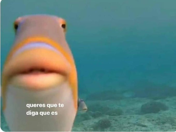 Yo: *le compro un regalo a alguien*
Yo a los 10 min: