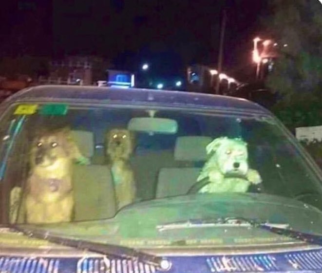 No se quienes son, ni a dónde van, pero quiero ir con ellos