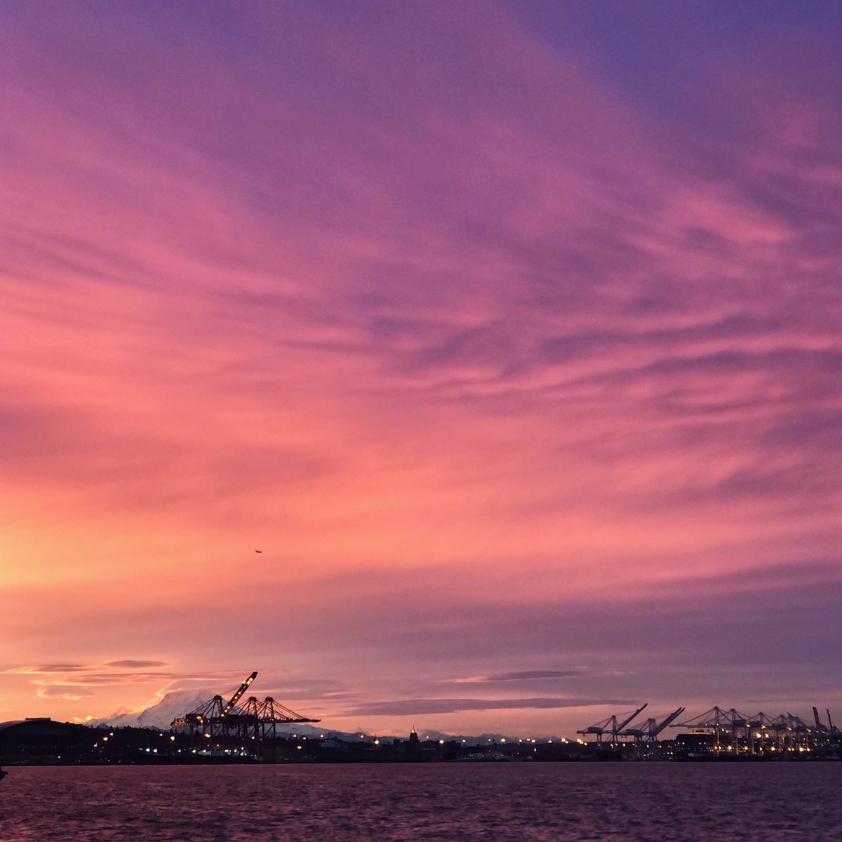 Scott Meis tweet media