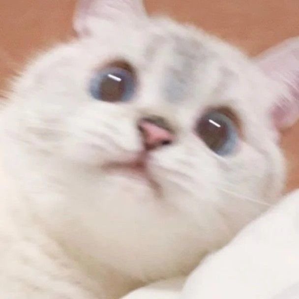 น่ารักเกินไปมั้ยเราอ่ะ ไม่ไหวแล้วนะไม่ไหวแล้วอยากฟัดแก้ม