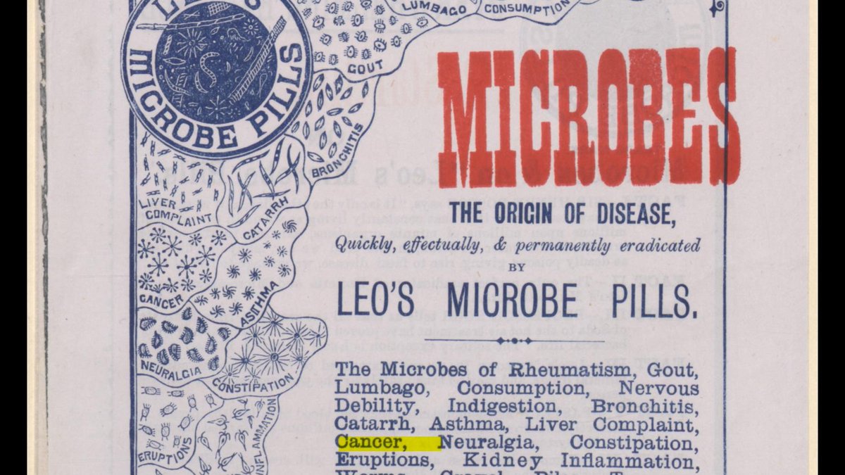 Then, they had another idea. Maybe cancer was contagious and maybe, just maybe, if they identified the guilty microbe it could - just like other epidemic diseases of the late century - be controlled?