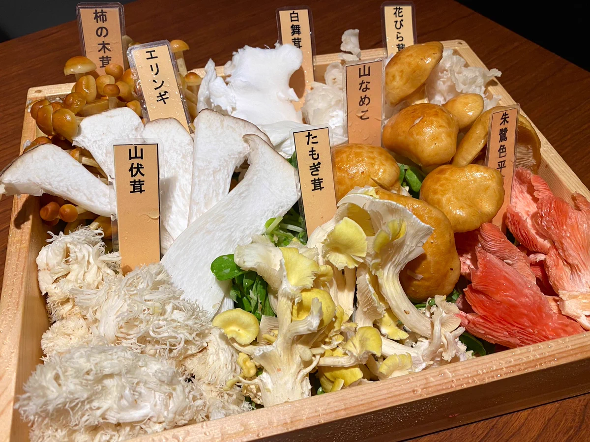 上野のきのこ鍋専門店がすごい！聞いたことのないキノコが種類豊富！！これは気になる…