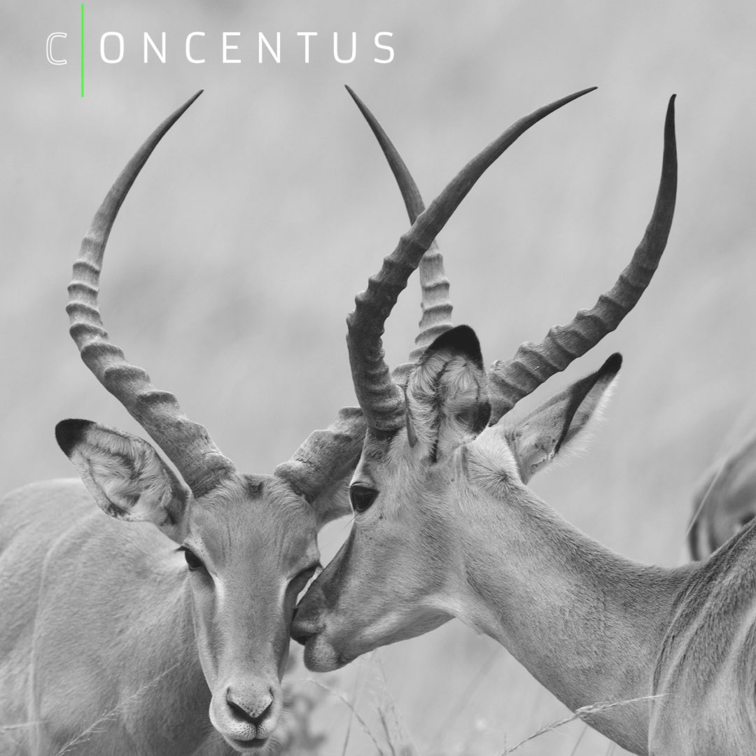 ConcentusADR's tweet photo. One of the most sincere forms of respect is actually listening to what another has to say.
Don’t litigate. Mediate.
#mediation #remotemediation #litigation #respect #unlockhorns https://t.co/eM8Iee0sqo