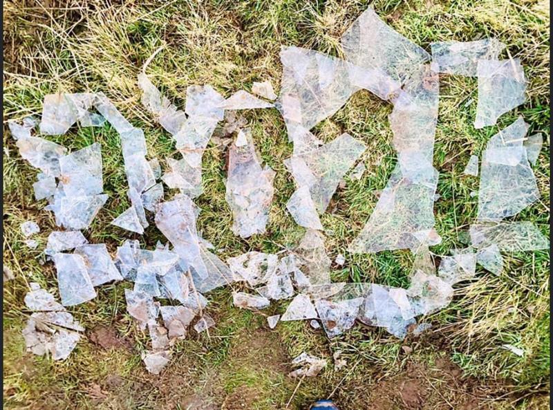 #2021 photo challnge from our #ffynonefamily