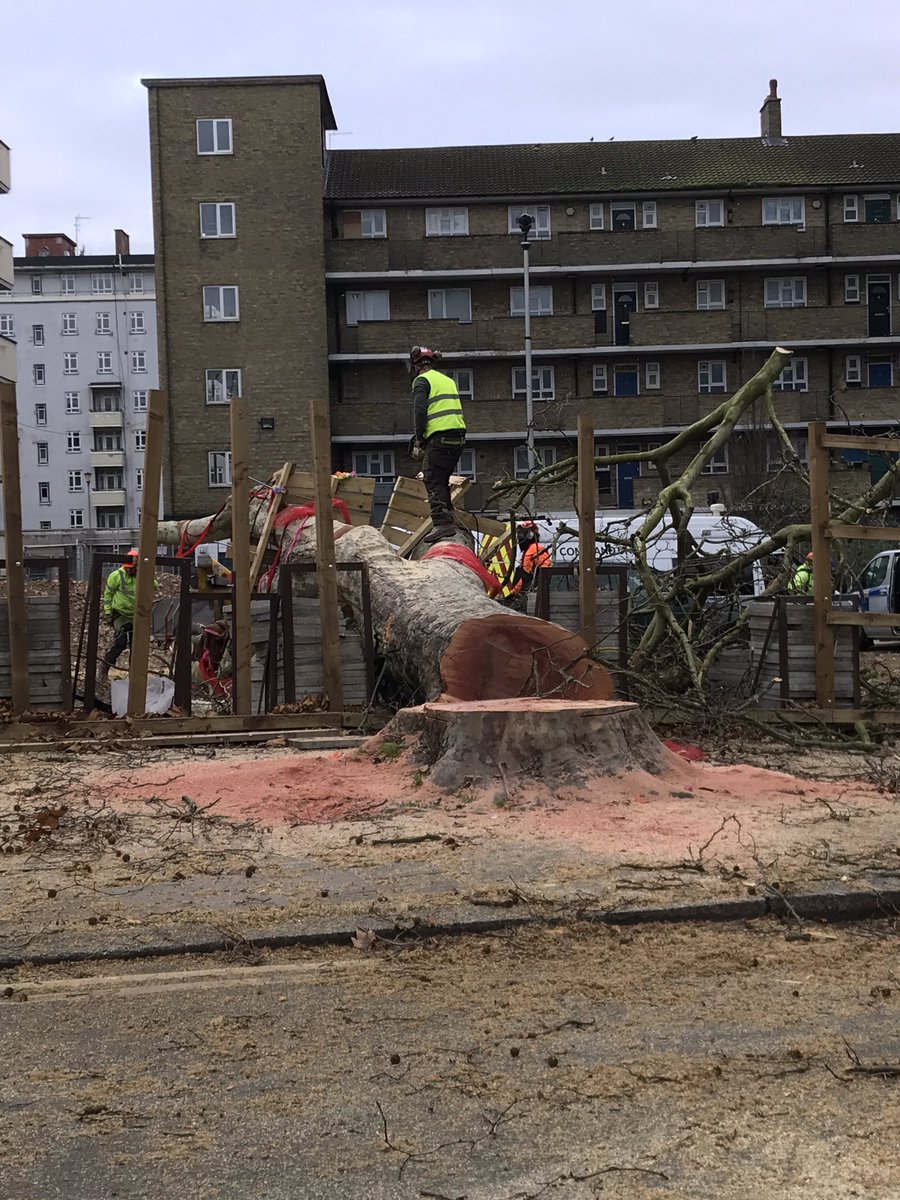 Feeling sadness, anger and grief seeing England’s tree of the year needlessly felled and destroyed this morning. Where once there was beauty and life, there is now ugliness and destruction. What can those who care about protecting nature learn and do in the face of this?