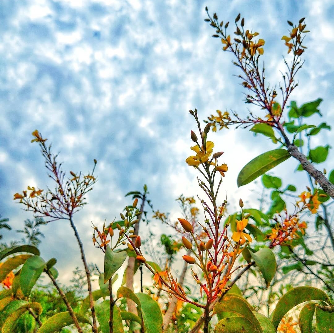 nomundoincrivel's tweet photo. Foto tirada com o ZenFone Max Pro (M1) por Maciel Torres (@macieltorres87). #minhafotocomzenfone #zenfonemaxprom1 https://t.co/Qin0312468