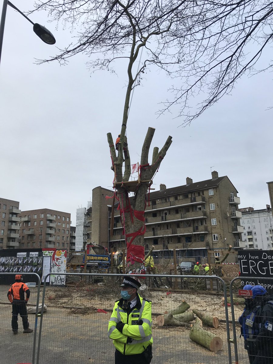 In order to facilitate the felling of the tree against the wishes of local people, the Met Police collaborated with Berkeley Homes and sent dozens of officers to help with the felling, at the same time as saying they have no resources to attend burglaries or robberies