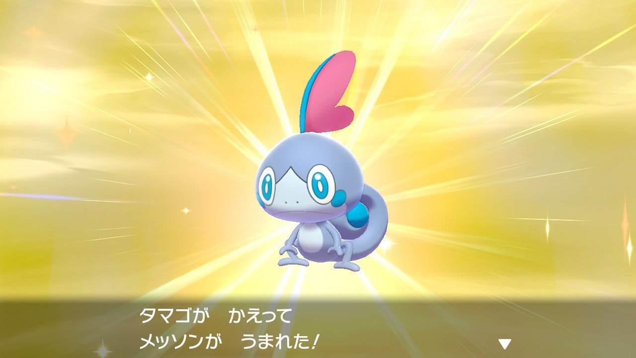 メッソン色違い Twitter Search Twitter