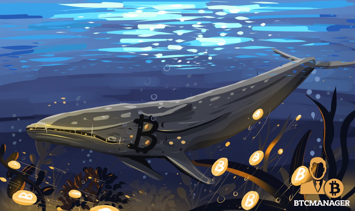 cryptodotnews's tweet image. Three Arrows Reveals Bitcoin Whale Status, Holds $1.2B GBTC Position 

BY: Anthonia Isichei

btcmanager.com/three-arrows-b… #Grayscale #GrayscaleBitcoinTrust #InstitutionalInvestors