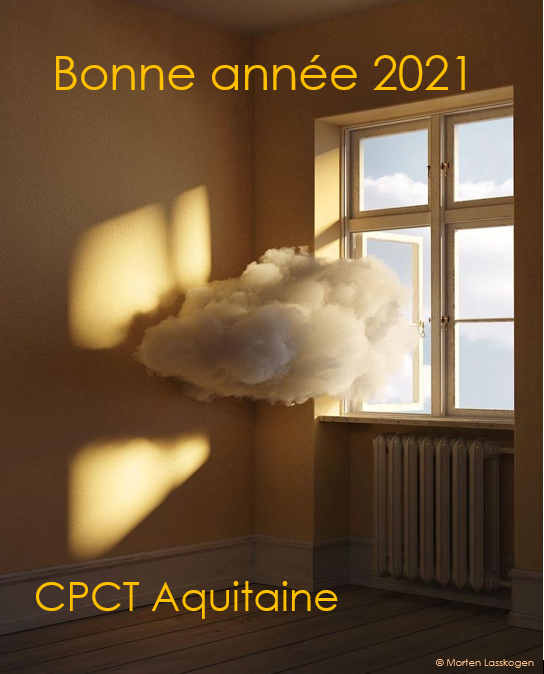 cpctbordeaux's tweet photo. BONNE ANNÉE 2021 ! https://t.co/O9lSaQXboO