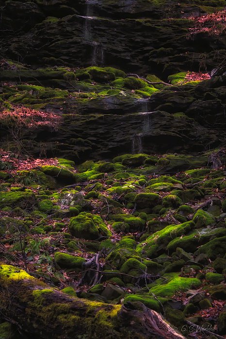 New artwork for sale! - "The Beauty of Green" - fineartamerica.com/featured/the-b… @fineartamerica