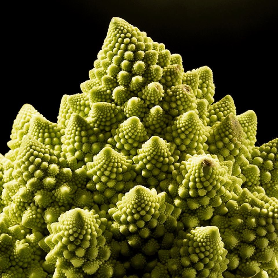 💥 Buon anno nuovo, con solidarietà e mutualismo!

Domenica, 10 gennaio
⏱ Dalle 10:00 Primo mercatino alimentare 2021 a Ri-Make.
Link all’evento: fb.me/e/guvethfs0
⏰ Dalle 15:00 Assemblea Ri-Make Bene Comune.
🔗 Il link per partecipare: vc.autistici.org/RiMakeBeneComu…