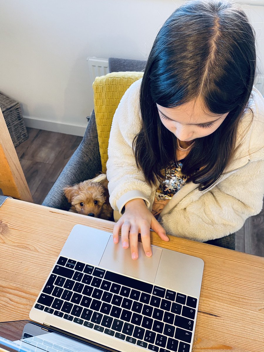 RiiKarmen's tweet photo. Home learning has started.. Brookes pleased to have a little furry friend for company while @Leejames88 works from home 🤍 @OWPSchool @OWPS_sharks #Lockdown3 #homeschooling https://t.co/zdDUGNPX41