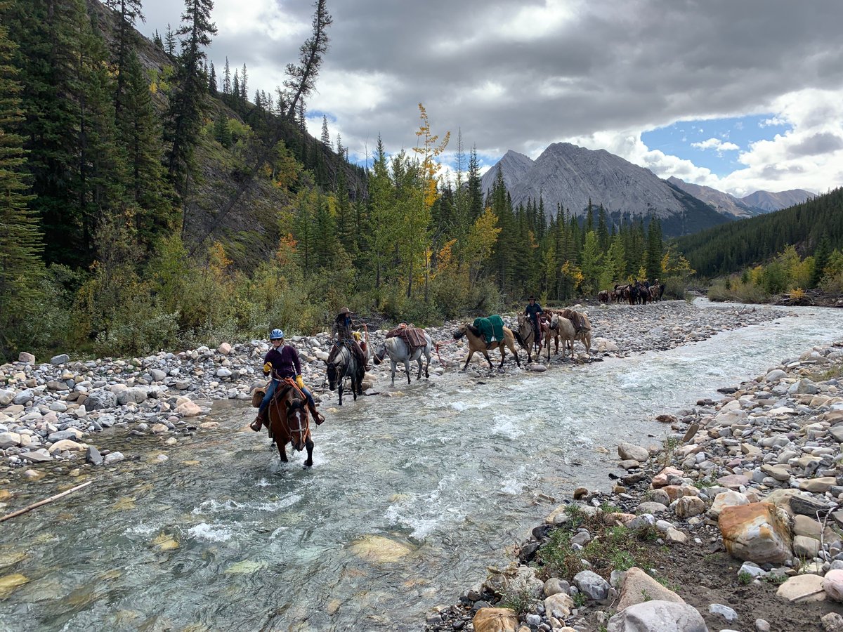 “Canada is grappling with where and how to protect nature," says  @Aerin_J, co-author and Y2Y's conservation scientist. "Governments at all levels need to make smart decisions and use information like this to ensure that people and nature can thrive."Photo: Aerin Jacob