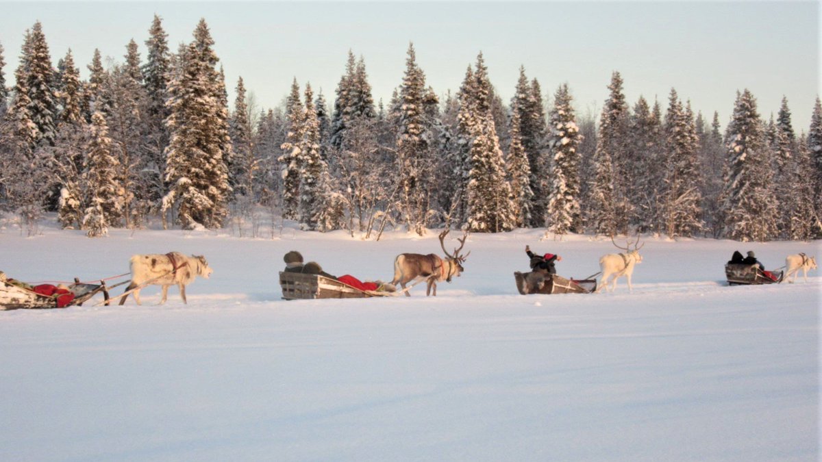 DiscoverFinland's tweet photo. Winter sports enthusiasts can spend a winter day in Levi - skiing, snowshoeing, winter biking, on a snowmobile safari, taking a husky or reindeer sled ride, or simply enjoying the snowy and enchanting nature of Fell Lapland: https://t.co/ZAx1aVPegJ https://t.co/jQoqSpEmTF