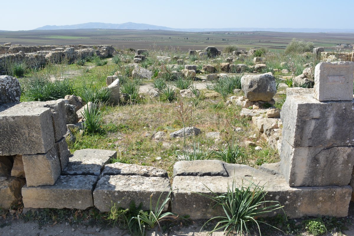 And some more from Ostia (Italy) and Volubilis (Morocco).  #Archaeology31