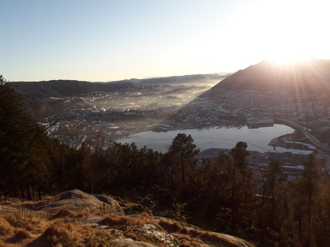 #Bergen #Norwegianforestcat #CatsOfTwitter #naturallight https://t.co/gBMFLyvwV2<a href="/tag/bergen"class="tags">#Bergen</a><a href="/tag/norwegianforestcat"class="tags">#Norwegianforestcat</a><a href="/tag/catsoftwitter"class="tags">#CatsOfTwitter</a><a href="/tag/naturallight"class="tags">#naturallight</a>