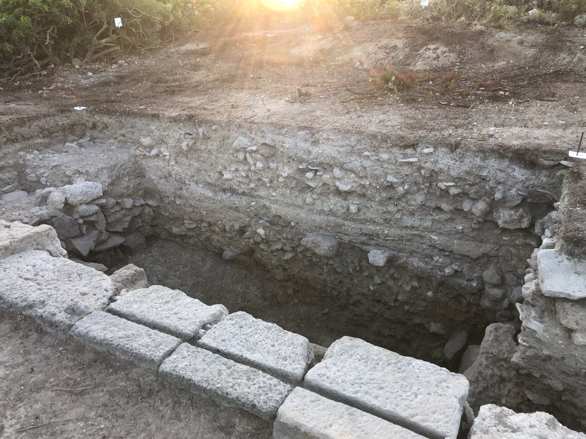 And a favourite is the threshold we recently excavated at Tharros (Sardinia) with  @UCTharros.  #Archaeology31