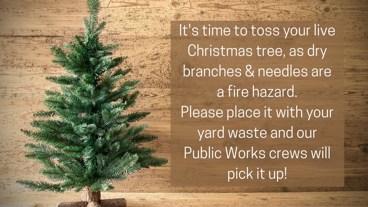 Oh, Christmas tree! It's sad to see you go, but it's for the best. Here's your little tree tossing reminder...