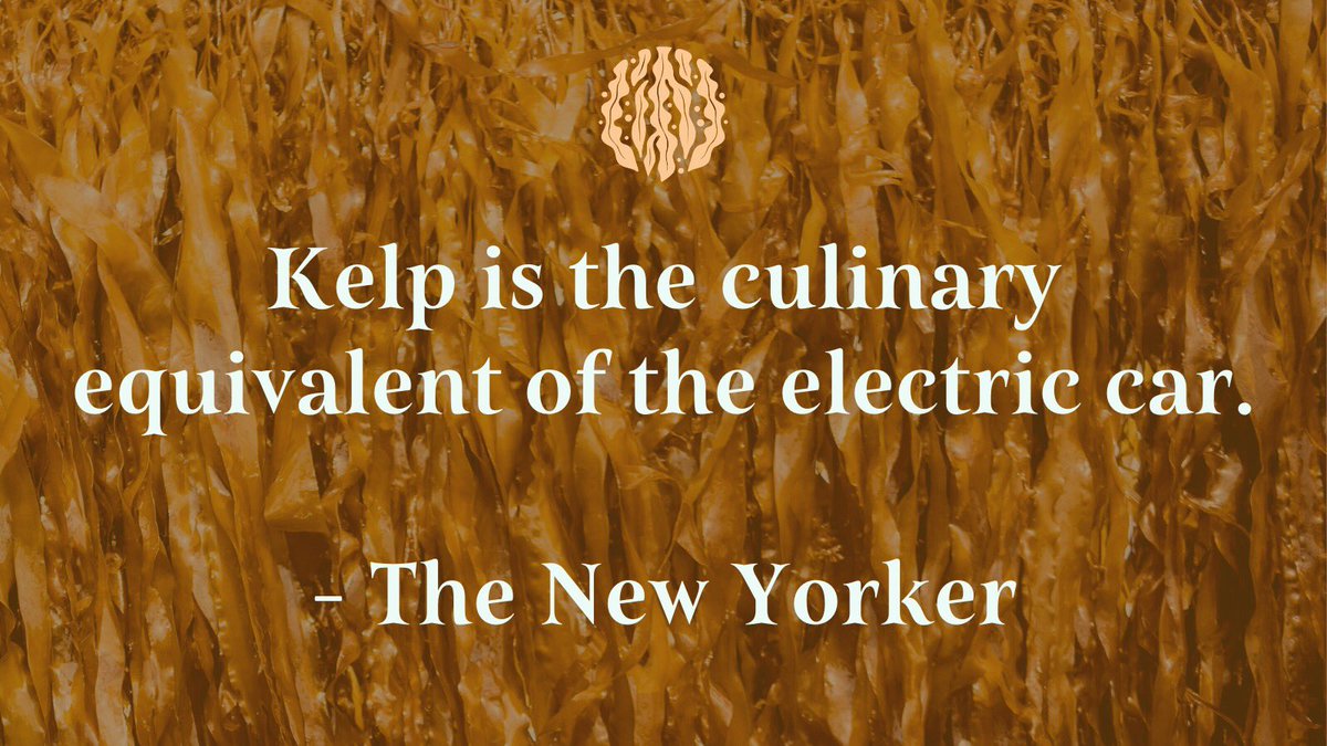lifeakua's tweet image. “Seaweed, which requires neither fresh water nor fertilizer, is one of the world’s most sustainable &amp;amp; nutritious crops. It absorbs dissolved nitrogen, phosphorous, &amp;amp; carbon dioxide directly from the sea—its footprint is negative—and proliferates at a terrific rate.” -@NewYorker