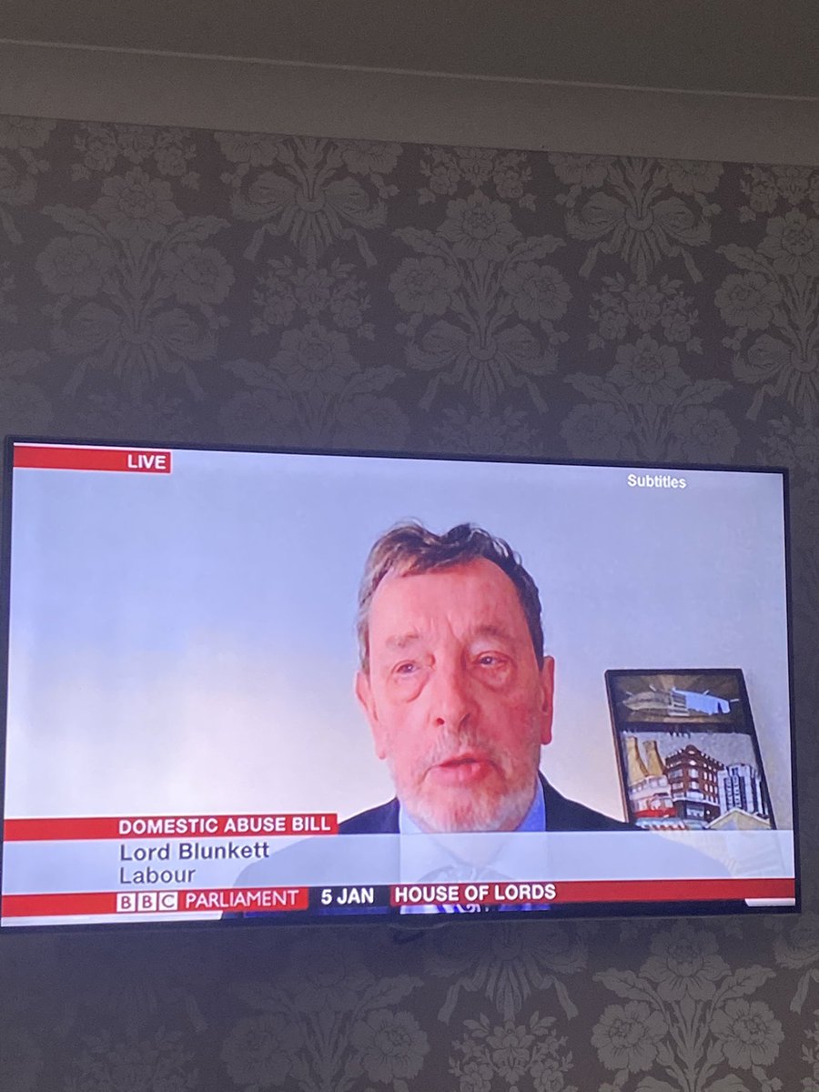 Hearing from Lord Blunkett speaking about how we need to get this  #DABill right now! We need to protect and support. Also speaking about the work of frontline services - great to see them recognised 