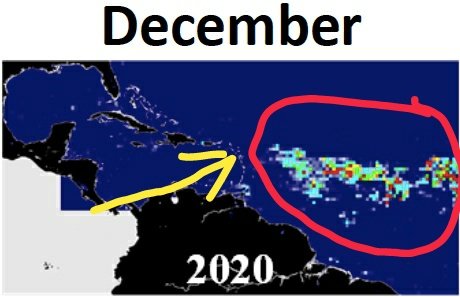 The amount of Sargassum recorded to the East of the Lesser Antilles (red circle) has increased from 1.4M metric tons to ~3.4M metric tons between November and December. Yellow arrow points to Antigua & Barbuda #Sargassum