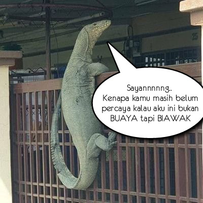 Tidak semua laki2 itu buaya...