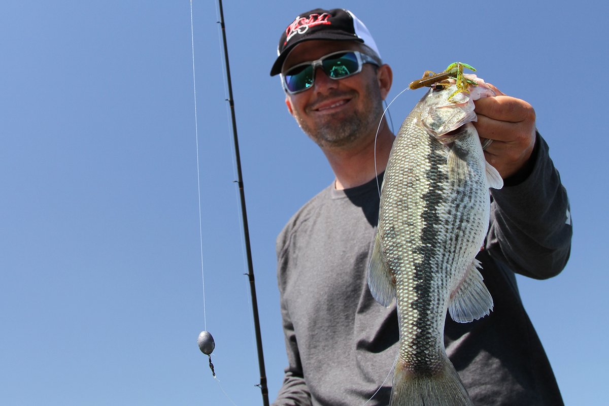 Seeing spots?? If you have never chased southern spotted bass right now is primetime!

Read More from <a href="/InFishermanMag/">In-Fisherman</a>

bddy.me/3bbxBU4

#WhatGetsYouOutdoors #fishing #bass #bassfishing #spottedbass #southernfishing #downsouth #fishingtips