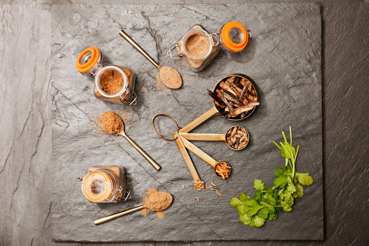 Grub Kitchen tweet media