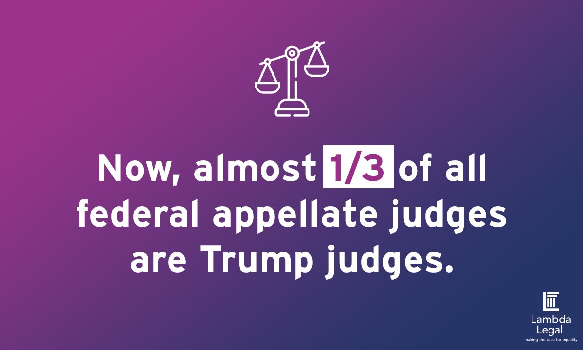 Trump judges now occupy more than 25% of federal court of appeals seats and 85% of them are members of the conservative Federalist Society.