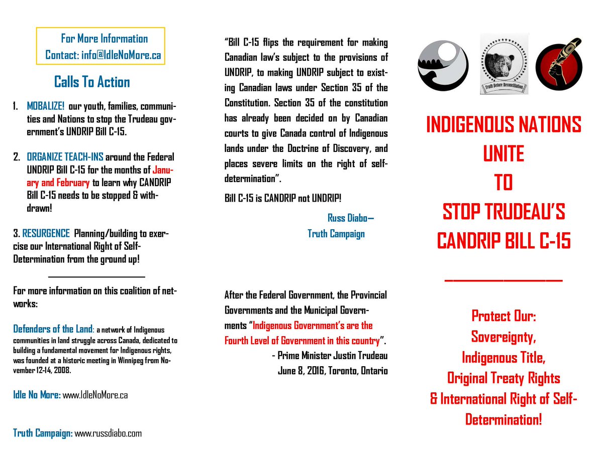 RussDiabo's tweet image. Having run 4 AFN NC myself, I know most Chiefs are looking for a candidate like Bellegarde, Atleo, or Fontaine who can keep program dollars flowing by maintaining good relations with Ottawa &amp;amp; not making too big a fuss about "rights"! 1/2