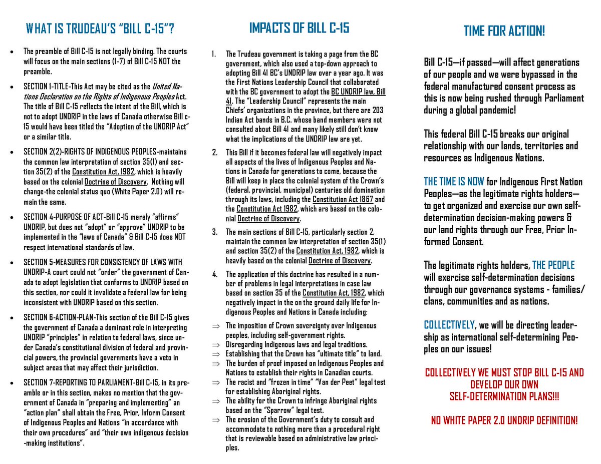 RussDiabo's tweet image. Having run 4 AFN NC myself, I know most Chiefs are looking for a candidate like Bellegarde, Atleo, or Fontaine who can keep program dollars flowing by maintaining good relations with Ottawa &amp;amp; not making too big a fuss about "rights"! 1/2