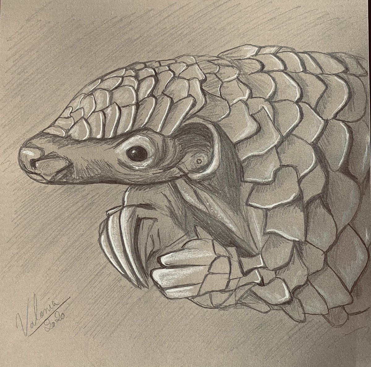 valonia_art's tweet image. [CONCOURS]

Pour fêter ce début d’année 2021 je vous fais gagner un portrait personnalisé de votre animal ✨

Pour participer : 

🌿- RT ce poste 
🌿- Follow 
🌿- Poster la photo de son animal sous ce poste 

Et c’est tout ! Je tirerai au sort à la fin du mois. Bonne chance 🍀