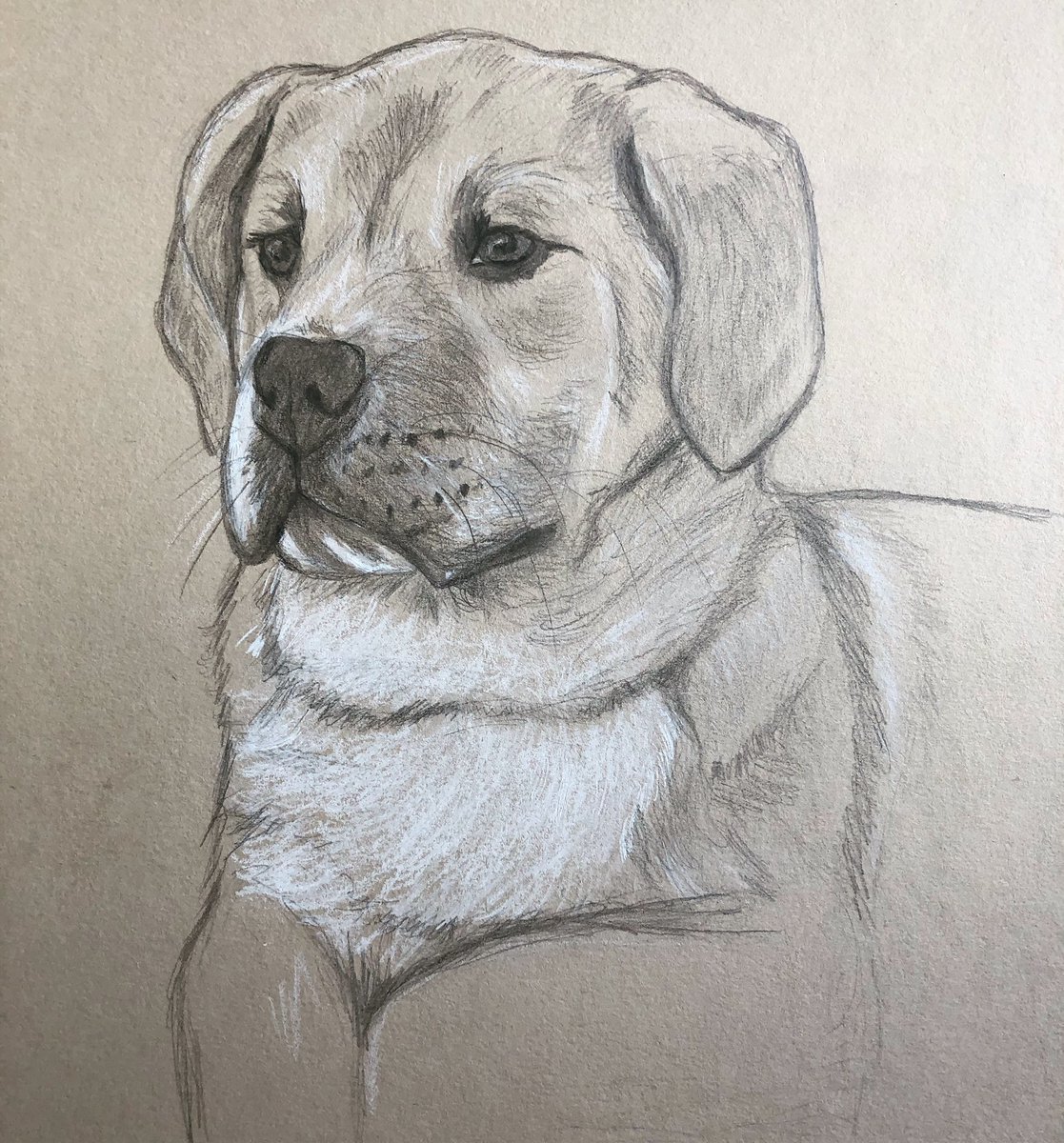 valonia_art's tweet image. [CONCOURS]

Pour fêter ce début d’année 2021 je vous fais gagner un portrait personnalisé de votre animal ✨

Pour participer : 

🌿- RT ce poste 
🌿- Follow 
🌿- Poster la photo de son animal sous ce poste 

Et c’est tout ! Je tirerai au sort à la fin du mois. Bonne chance 🍀