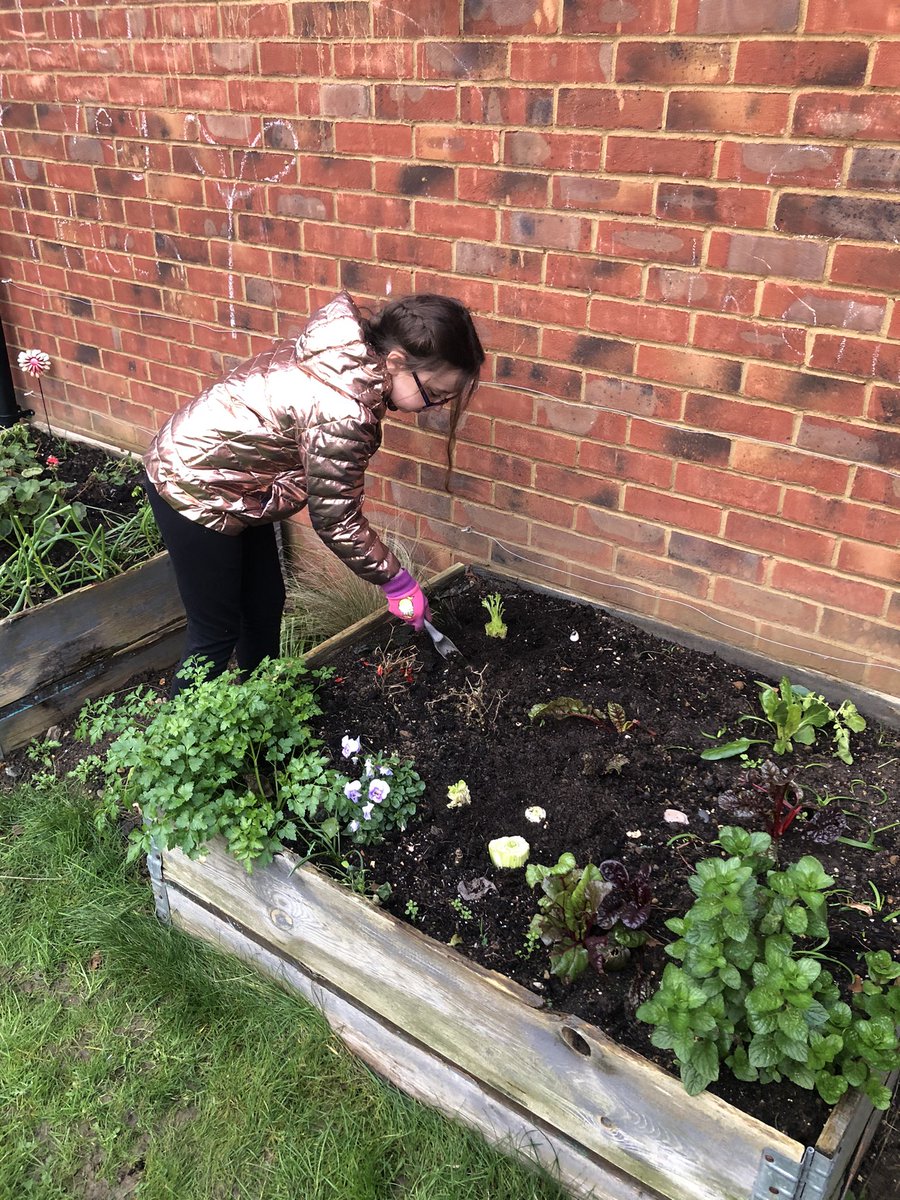 Anwyn Rowberry tweet media