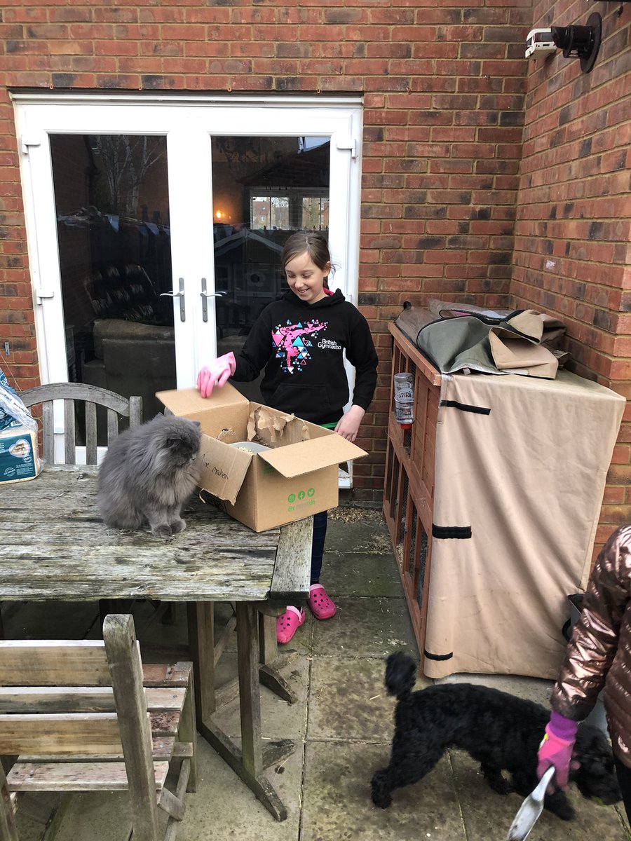 Anwyn Rowberry tweet media