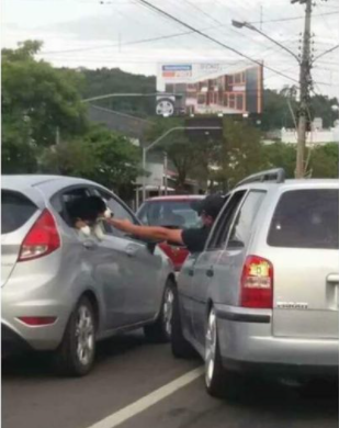 -Te gustan los perros?
-Y..