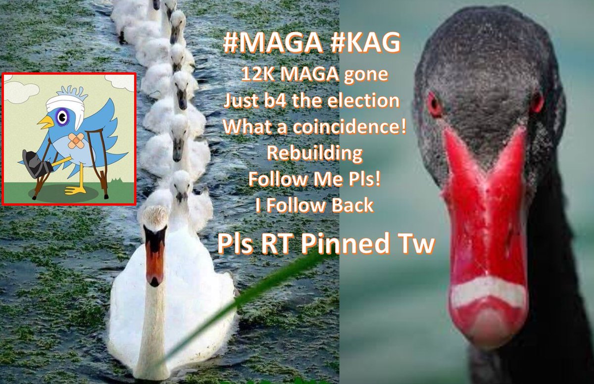 PheonixEbe007 (@pheonixebe007) on Twitter photo <a href="/thetonyclifton1/">TONY C</a> <a href="/JDPHD2/">Dr. Jack Daniel, PhD - 🇺🇸 I FOLLOW BACK 🇺🇸</a> <a href="/TAG2335/">Dr. Thom, Ph.D., CPA 🇺🇸 🇺🇸 🇺🇸</a> <a href="/KA_GrahamGirl/">GrahamGirl🇺🇸🎣🇺🇸</a> <a href="/LightTherapy_/">#StoptheSteal Maura Parler @LightTherapy</a> <a href="/JeanNolanMusic/">Jean Nolan</a> <a href="/Rparkerscience/">Rene' Patriot 🇺🇸🇺🇸</a> <a href="/StacieGodbless/">Stacie Taylor</a> <a href="/SapphiresNMagik/">SapphiresNMagik</a> @EileenB16285882 @hanneloremorto5 <a href="/FlyAngelheart17/">E🥰Patriot Prayer Warrior🥰</a> <a href="/georgiagirlinnc/">Susie</a> @Jul4Firecracker <a href="/SusanIverach/">Susan Iverach</a> @EG4USA <a href="/HizbkKhan/">Hizbullah Khan</a> <a href="/Big4USA/">BIGGELAAR</a> <a href="/rankingJUMP/">RankingJUMP USA</a> Followed✅Also, I would very much appreciate a Retweet of the Pinned Tweet on my Twitter Homepage. Thanks for including me on this list and for all of your hard work. <a href="/thetonyclifton1/">TONY C</a> <a href="/JDPHD2/">Dr. Jack Daniel, PhD - 🇺🇸 I FOLLOW BACK 🇺🇸</a> <a href="/TAG2335/">Dr. Thom, Ph.D., CPA 🇺🇸 🇺🇸 🇺🇸</a> <a href="/KA_GrahamGirl/">GrahamGirl🇺🇸🎣🇺🇸</a> <a href="/LightTherapy_/">#StoptheSteal Maura Parler @LightTherapy</a> <a href="/JeanNolanMusic/">Jean Nolan</a> <a href="/Rparkerscience/">Rene' Patriot 🇺🇸🇺🇸</a> <a href="/StacieGodbless/">Stacie Taylor</a> <a href="/SapphiresNMagik/">SapphiresNMagik</a> @EileenB16285882 @hanneloremorto5 <a href="/FlyAngelheart17/">E🥰Patriot Prayer Warrior🥰</a> <a href="/georgiagirlinnc/">Susie</a> @Jul4Firecracker <a href="/SusanIverach/">Susan Iverach</a> @EG4USA <a href="/HizbkKhan/">Hizbullah Khan</a> <a href="/Big4USA/">BIGGELAAR</a> <a href="/rankingJUMP/">RankingJUMP USA</a> Followed✅Also, I would very much appreciate a Retweet of the Pinned Tweet on my Twitter Homepage. Thanks for including me on this list and for all of your hard work.