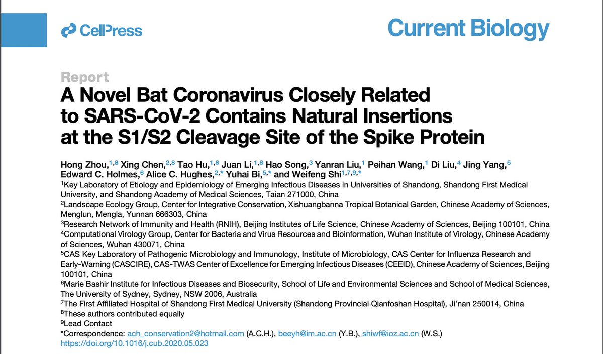 4) Next, there is this quote from Feb 2020. This quote’s inclusion and the subsequent takeaway are surprising, given that a June study of bat coronaviruses from Yunnan, China reported a three–amino acid insertion at the same site:  https://www.cell.com/current-biology/pdf/S0960-9822(20)30662-X.pdf