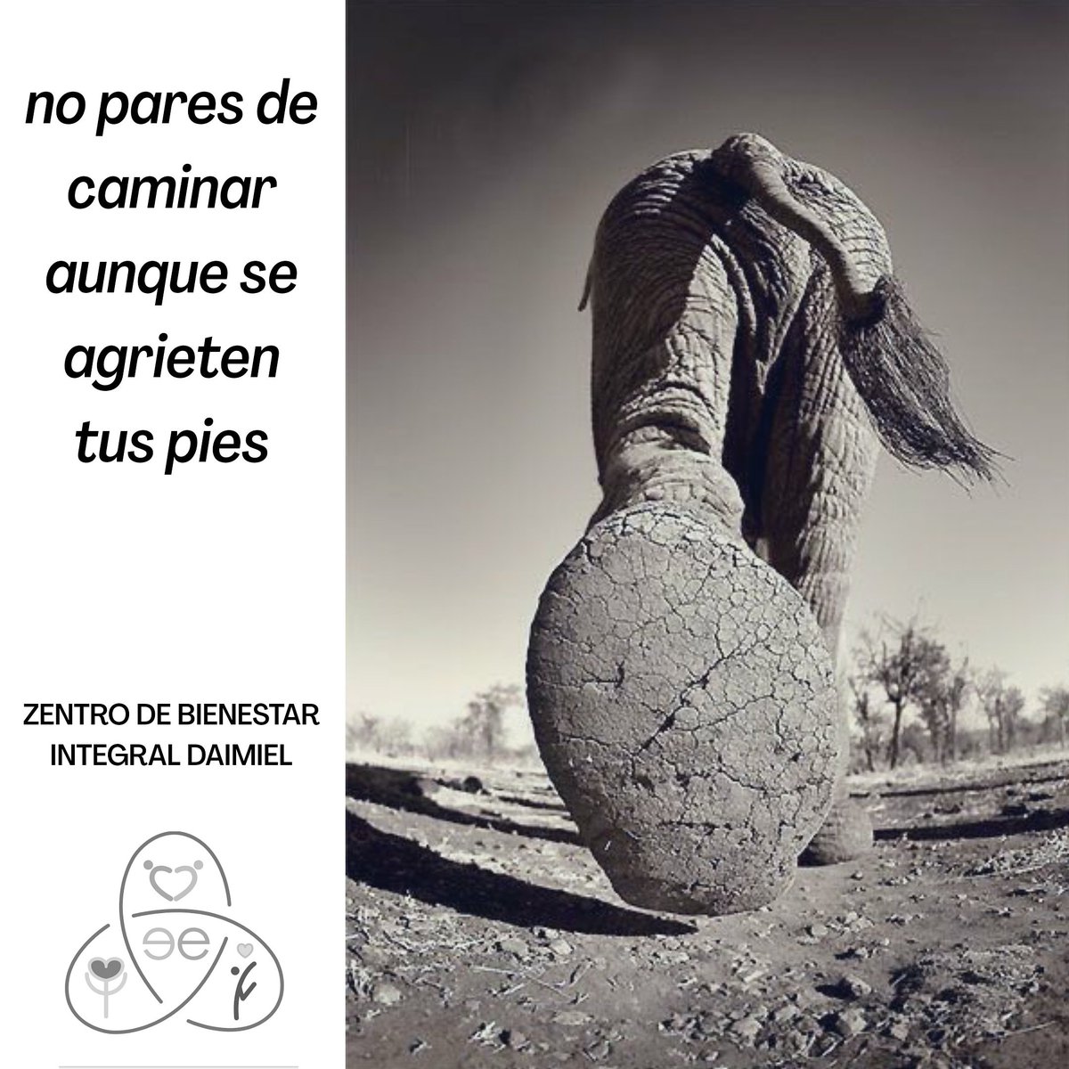 de_daimiel's tweet photo. #venalzentro https://t.co/XHYrKyoGp0