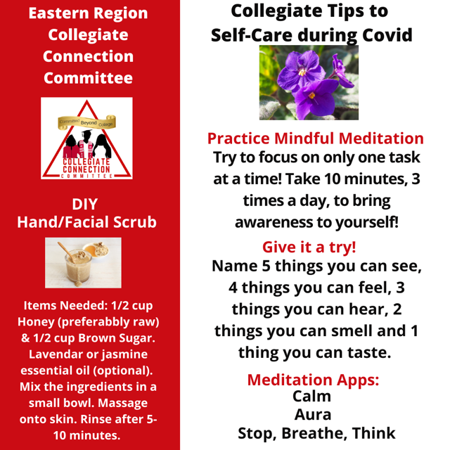 easternregdst's tweet photo. The Eastern Region Collegiate Connection Committee has developed self-care tips for collegiate sorors. Self-care is everything! #ERcollegiateConnection #ERCCC #SelfcareSunday #ERCCCselfcareSunday https://t.co/yU3KDuf9h2