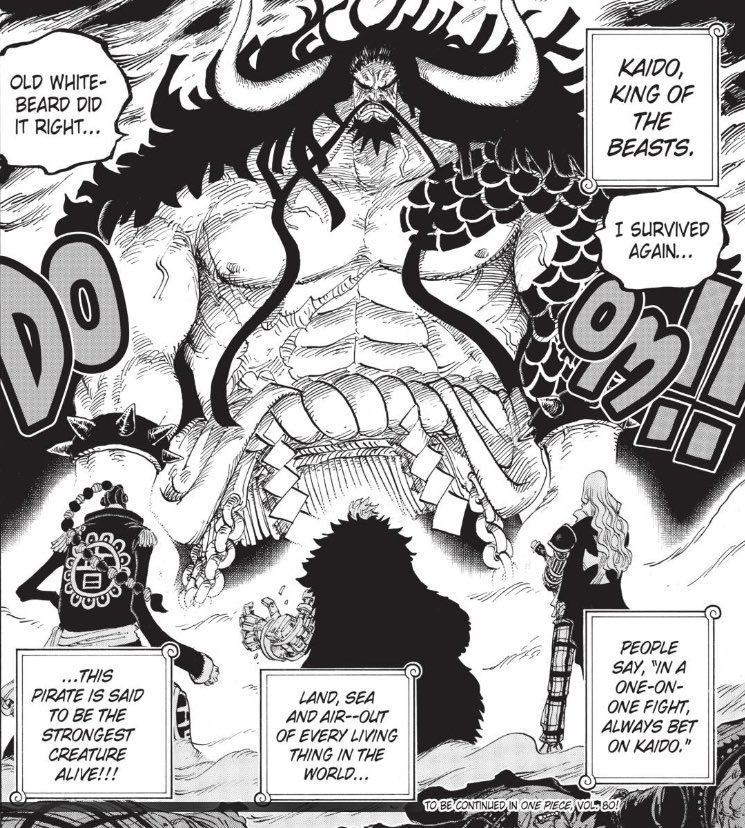 from the back of the SHs or SNs to the front of Orm and Enel(SHs case) or Kaido (SNs case). This perspective shows the SHs and SNs were up against opponents of overwhelming strength, opponents out of their league. However this time the face off double spreads was different.